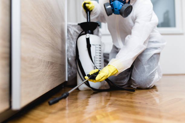 Best Pest Removal Services  in Century, FL