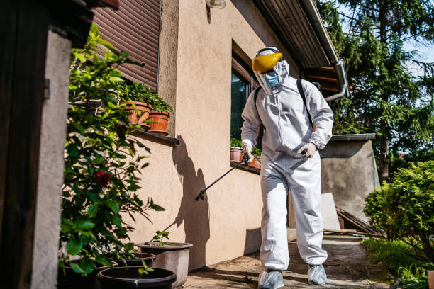 Best Local Pest Control Services  in Century, FL