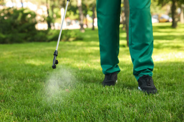 Best Exterminator Services  in Century, FL