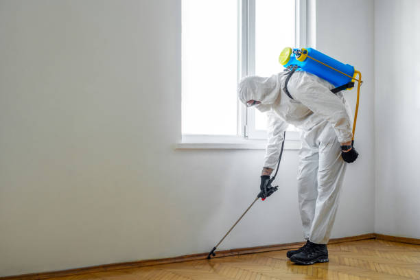 Best Cockroach Control Services  in Century, FL