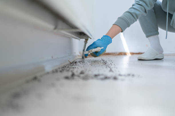 Best Best Pest Control Companies  in Century, FL